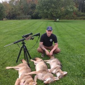 Meet your Posher, Chris